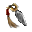 Shiriken Shiriken