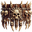 Csontõv Csontõv